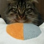 ゆきママさんのプロフィール画像