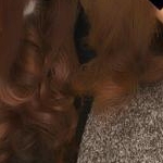 こころさんのプロフィール画像