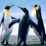 Mari's♡さんのプロフィール画像