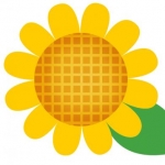 ひまわりさんのプロフィール画像