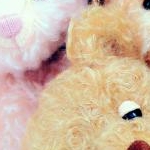 Tさんさんのプロフィール画像