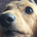 リリーさんのプロフィール画像