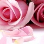 ちゃちゃちゃさんのプロフィール画像