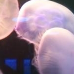 真琴さんのプロフィール画像