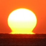 とれっくんさんのプロフィール画像