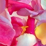 たけまいさんのプロフィール画像