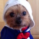 春風どれみさんのプロフィール画像