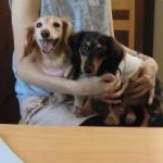 minakoさんのプロフィール画像