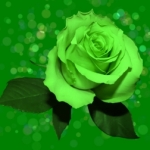 愛さんのプロフィール画像