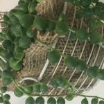 hiroeさんのプロフィール画像