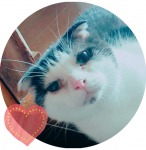 けいさんのプロフィール画像