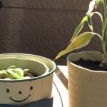 かんままさんのプロフィール画像