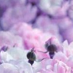 KTさんのプロフィール画像