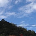 はまっちょさんのプロフィール画像