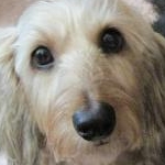 らいむさんのプロフィール画像