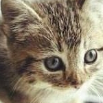 mugiさんのプロフィール画像