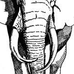 はぴ〜らいふさんのプロフィール画像