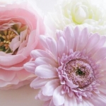 maple☆さんのプロフィール画像