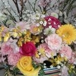 yuyuさんのプロフィール画像