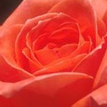 えめちゃんさんのプロフィール画像