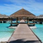 ASAMIさんのプロフィール画像