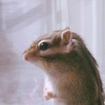 ひっちゃんさんのプロフィール画像