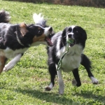 asuさんのプロフィール画像