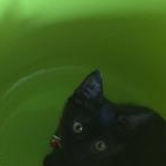 trrrra12さんのプロフィール画像