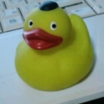 macoさんのプロフィール画像