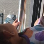 なかむらさんさんのプロフィール画像