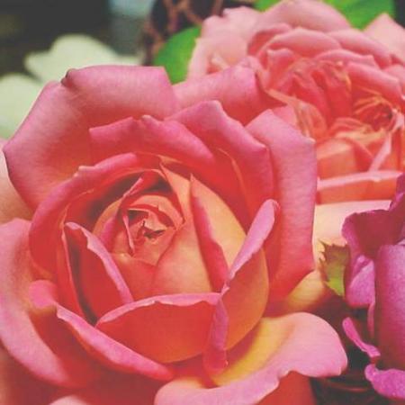 londonparisさんのプロフィール画像