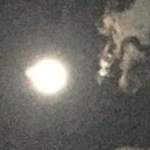 寧々さんのプロフィール画像