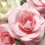 M.さんのプロフィール画像