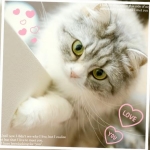 ゆいにゃさんのプロフィール画像