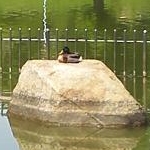 ナミリミさんのプロフィール画像