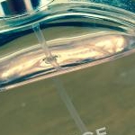 凛さんのプロフィール画像