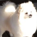 つーママさんのプロフィール画像