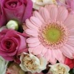 yururi17さんのプロフィール画像