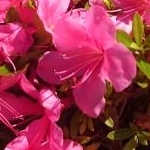 くuのさんのプロフィール画像