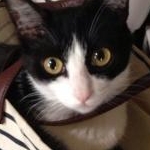 tinytotさんのプロフィール画像