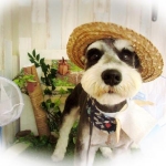 mamechibi95さんのプロフィール画像