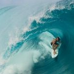 Yohoeさんのプロフィール画像