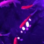 うきさんのプロフィール画像