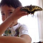 奥瀬さんのプロフィール画像