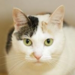 mikenekodaisukiさんのプロフィール画像