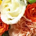 みゆさんのプロフィール画像