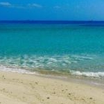 くぅさんのプロフィール画像