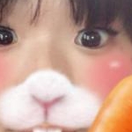 あんずさんのプロフィール画像