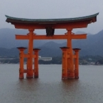 ioriさんのプロフィール画像