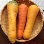 sakurasakuさんのプロフィール画像